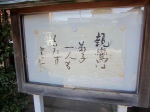 お寺の掲示板 親鸞は弟子一人ももたず